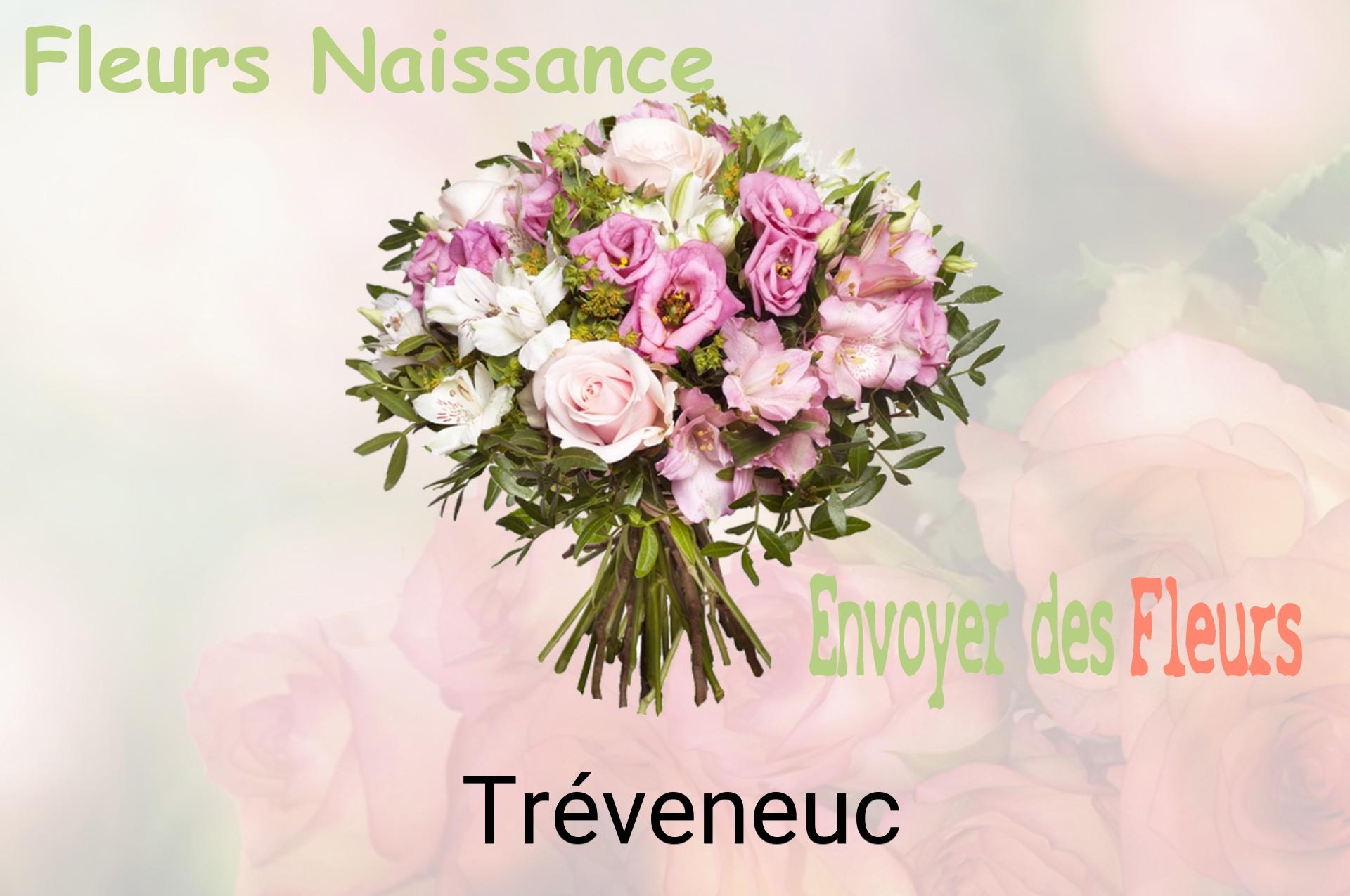 Bouquet de fleurs de naissance livré à Tréveneuc