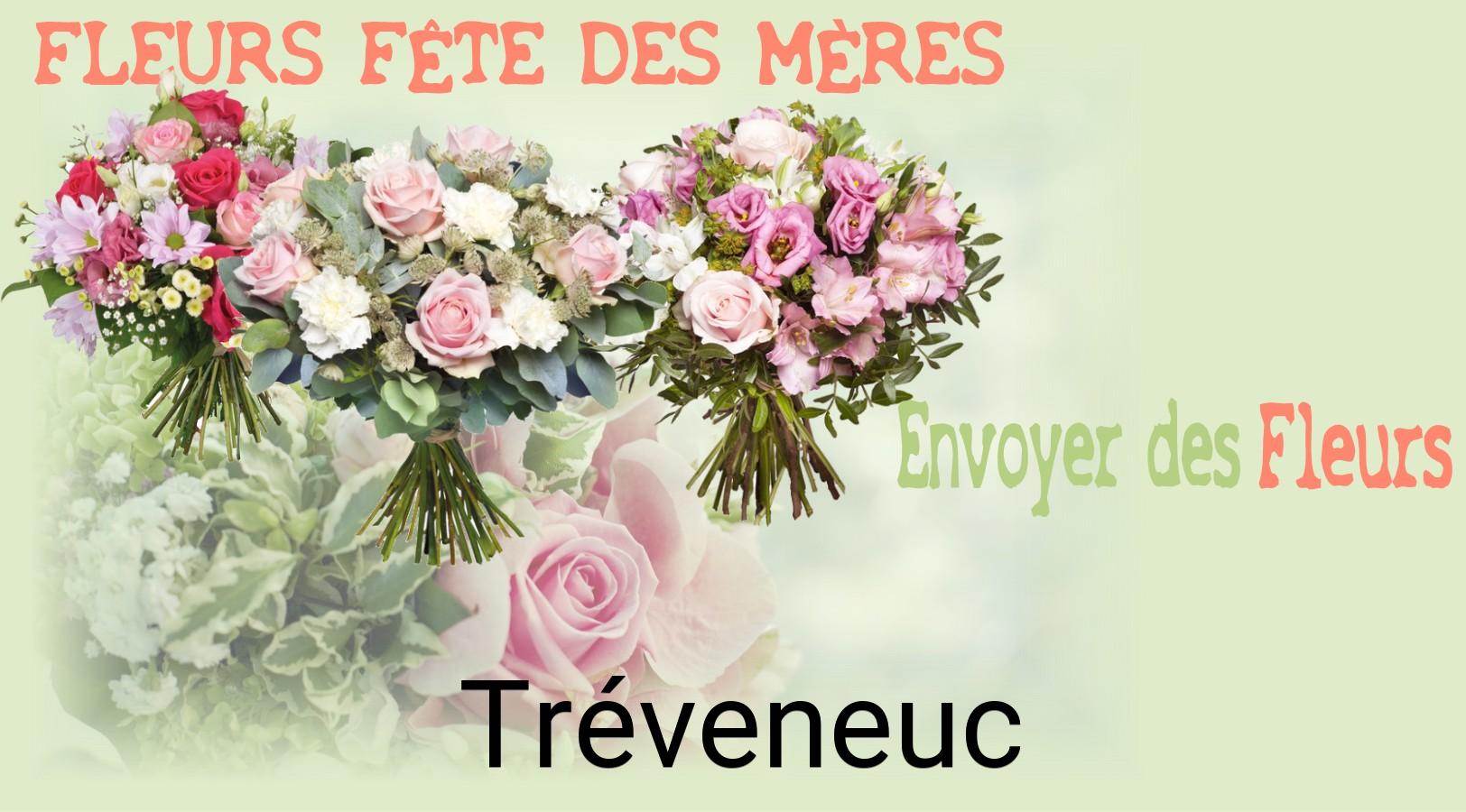 Bouquet de Fête des Mères livré à Tréveneuc